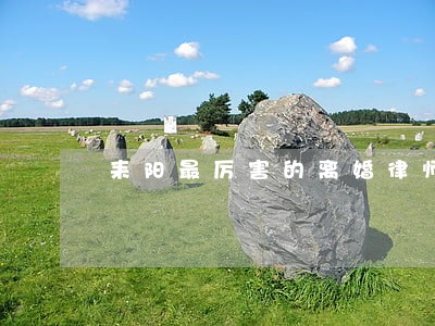 耒阳最厉害的离婚律师