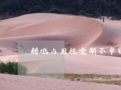耕地占用税逾期不申报处罚 耕地占用税逾期不申报处罚