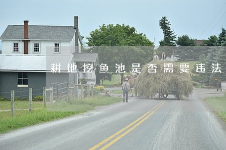 耕地挖鱼池是否需要违法 耕地挖鱼池是否需要违法