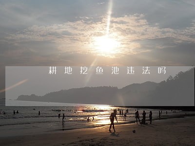 耕地挖鱼池违法吗 耕地挖鱼池违法吗