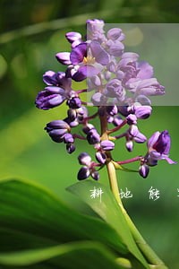 耕地能写离婚协议里吗 耕地能写离婚协议里吗