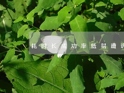 耗时长成功率低易遭诉讼 耗时长成功率低易遭诉讼