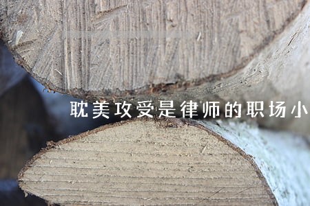耽美攻受是律师的职场小说 耽美攻受是律师的职场小说