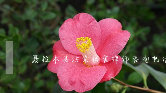 聂拉木县污染损害律师咨询电话 聂拉木县污染损害律师咨询电话