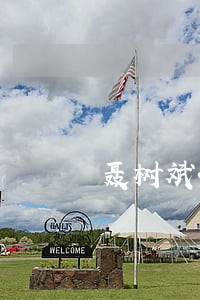 聂树斌4位律师要求查阅卷宗 聂树斌4位律师要求查阅卷宗