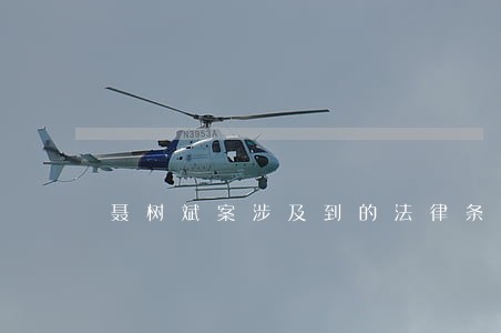 聂树斌案涉及到的法律条文 聂树斌案涉及到的法律条文