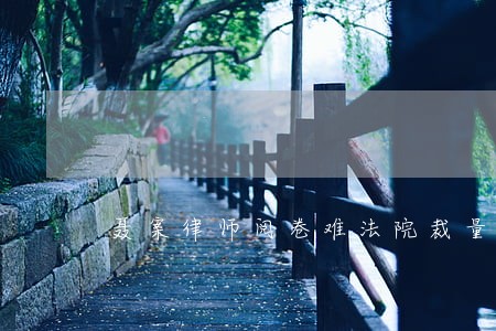 聂案律师阅卷难法院裁量权过大