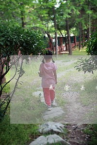 聂荣县侵权在线律师 聂荣县侵权在线律师