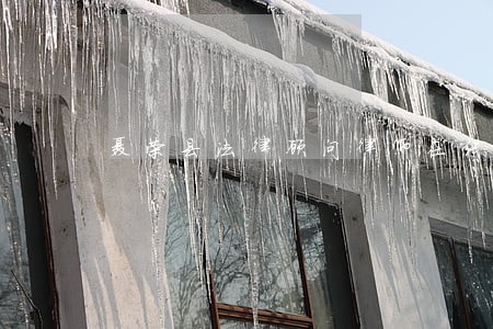 聂荣县法律顾问律师在线免费咨询 聂荣县法律顾问律师在线免费咨询