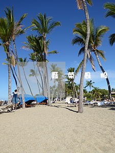 聂荣县股权激励在线律师咨询 聂荣县股权激励在线律师咨询