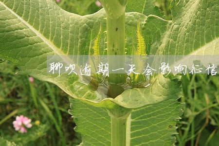聊呗逾期一天会影响征信吗 聊呗逾期一天会影响征信吗