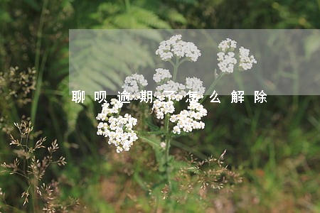 聊呗逾期了怎么解除 聊呗逾期了怎么解除