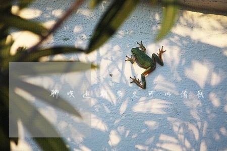 聊呗逾期多久可以借钱 聊呗逾期多久可以借钱