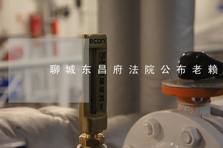 聊城东昌府法院公布老赖名 聊城东昌府法院公布老赖名