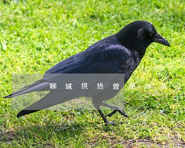 聊城供热管理办法立法听证会上 聊城供热管理办法立法听证会上