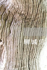 聊城信用卡逾期债务优化怎么收费 聊城信用卡逾期债务优化怎么收费