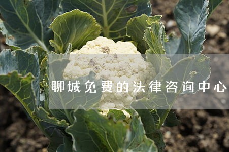 聊城免费的法律咨询中心 聊城免费的法律咨询中心