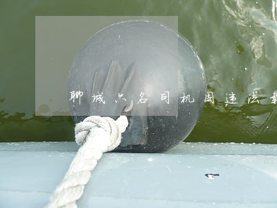 聊城六名司机因违法载货被查处 聊城六名司机因违法载货被查处