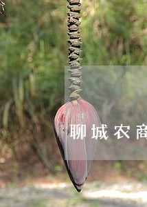 聊城农商银行房贷逾期 聊城农商银行房贷逾期