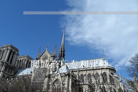 聊城商标专利律师 聊城商标专利律师
