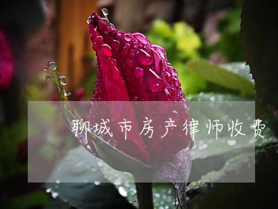 聊城市房产律师收费 聊城市房产律师收费