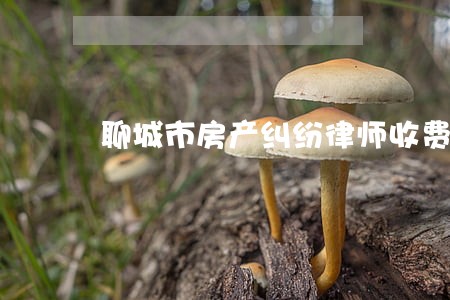 聊城市房产纠纷律师收费 聊城市房产纠纷律师收费