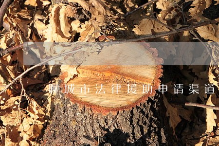 聊城市法律援助申请渠道 聊城市法律援助申请渠道