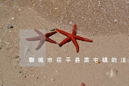 聊城市茌平县菜屯镇的法律顾问 聊城市茌平县菜屯镇的法律顾问
