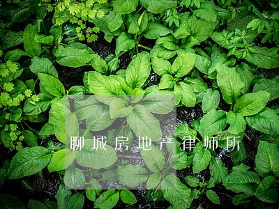 聊城房地产律师所 聊城房地产律师所