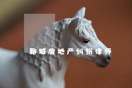 聊城房地产纠纷律师 聊城房地产纠纷律师