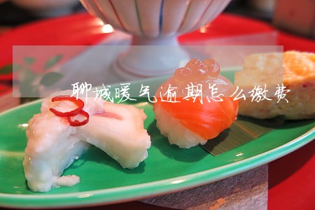 聊城暖气逾期怎么缴费 聊城暖气逾期怎么缴费
