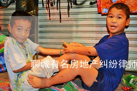 聊城有名房地产纠纷律师 聊城有名房地产纠纷律师