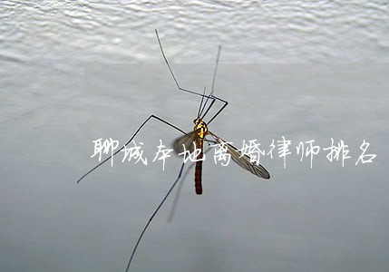 聊城本地离婚律师排名 聊城本地离婚律师排名