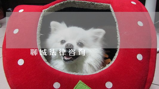 聊城法律咨询