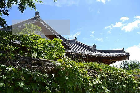 聊城法律咨询地址