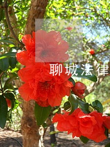 聊城法律援助站 聊城法律援助站