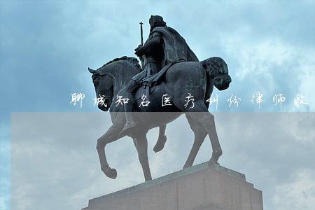 聊城知名医疗纠纷律师收费