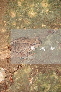 聊城知名合同纠纷律师 聊城知名合同纠纷律师