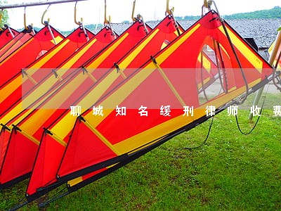 聊城知名缓刑律师收费标准 聊城知名缓刑律师收费标准