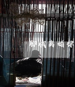 聊城离婚律师团队 聊城离婚律师团队