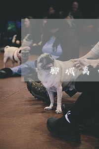 聊城离婚房产分割律师 聊城离婚房产分割律师