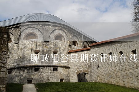 聊城阳谷县期货律师在线咨询 聊城阳谷县期货律师在线咨询