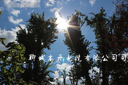 聊城高开电缆有限公司司法拍卖 聊城高开电缆有限公司司法拍卖
