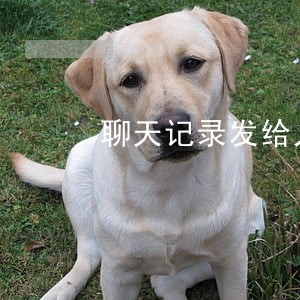聊天记录发给人违法 聊天记录发给人违法
