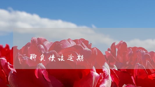 聊负债谈逾期 聊负债谈逾期