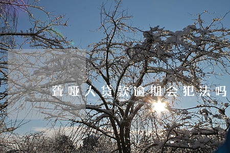 聋哑人贷款逾期会犯法吗 聋哑人贷款逾期会犯法吗