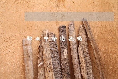 职业中介违法吗 职业中介违法吗