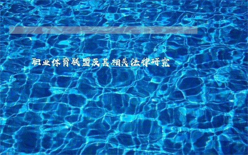职业体育联盟及其相关法律研究 职业体育联盟及其相关法律研究
