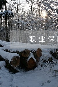 职业保险损失律师服务价格 职业保险损失律师服务价格