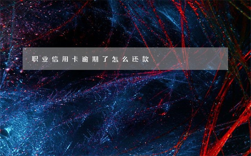 职业信用卡逾期了怎么还款 职业信用卡逾期了怎么还款